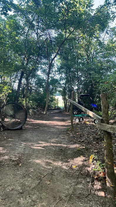 The Bear Den Picture 6