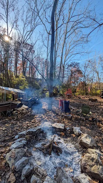 The Bear Den Picture 8