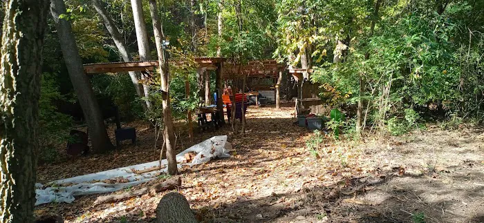 The Bear Den Picture 7