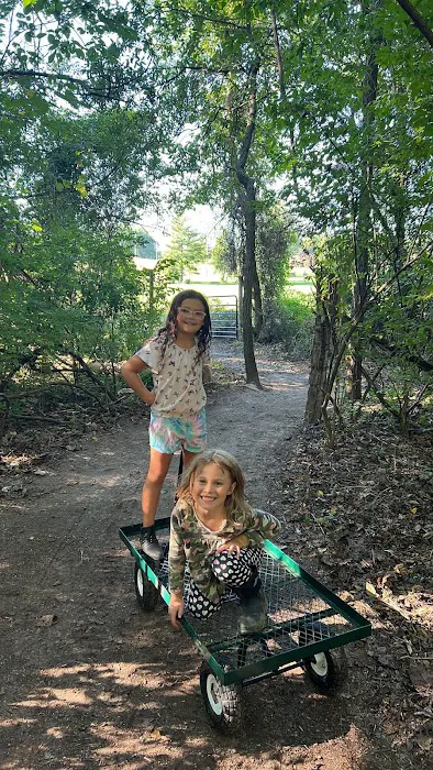 The Bear Den Picture 5