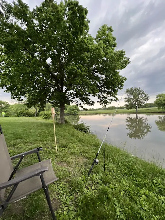 Town & Country Lakes Picture 8