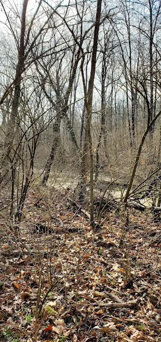 Camp Warren Levis Picture 9