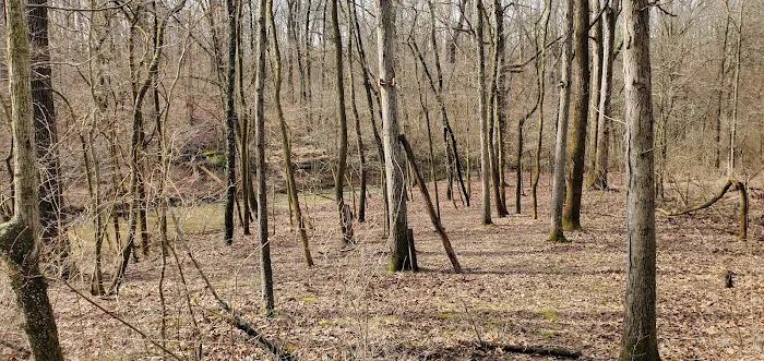 Camp Warren Levis Picture 4