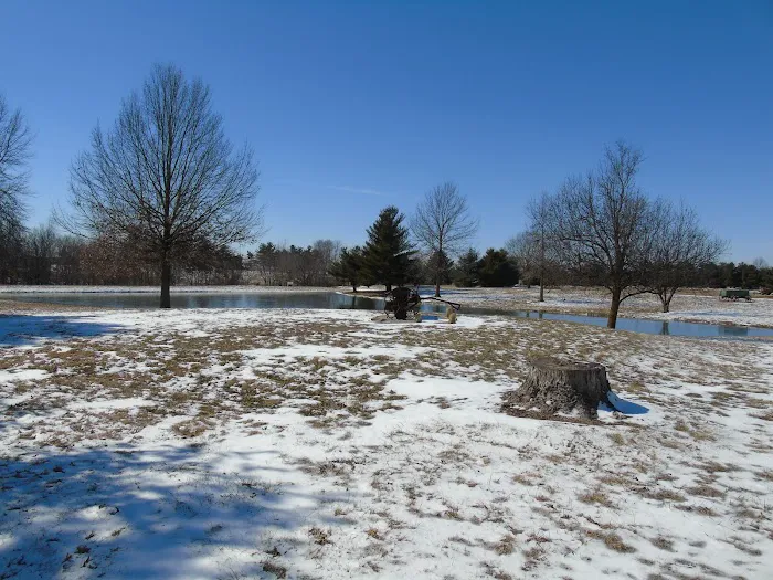 Cool Creek Resort Picture 6