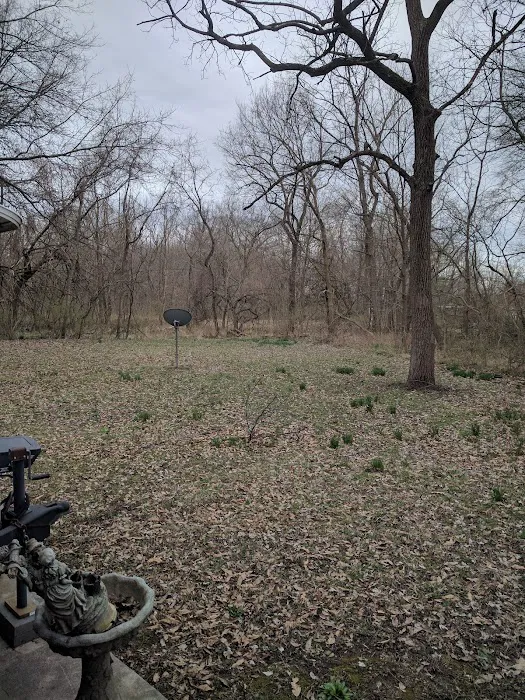 Cool Creek Resort Picture 9
