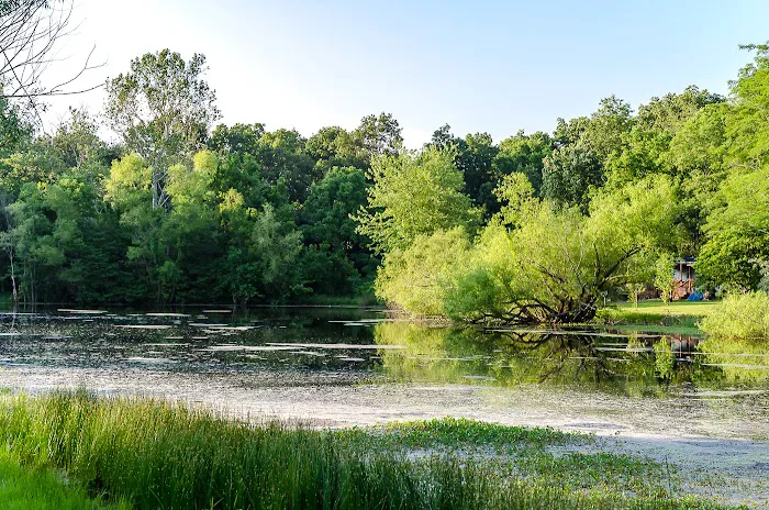 Timber Trails Campground Picture 7