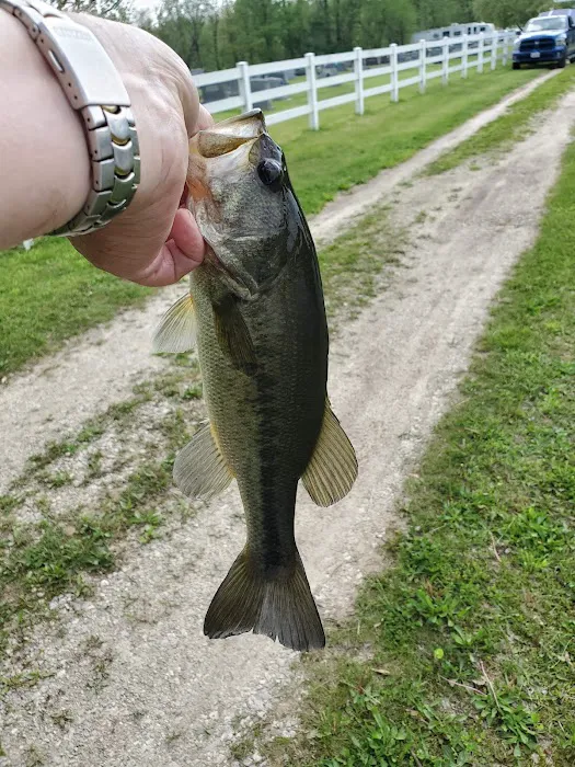 Bonanza Camp Ground Picture 2