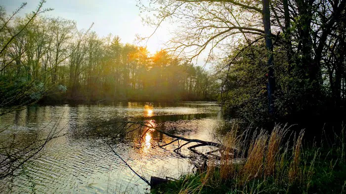 Bonanza Camp Ground Picture 8