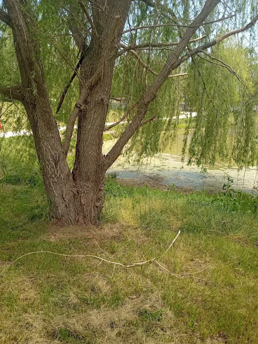 Tomahawk Campground Picture 9