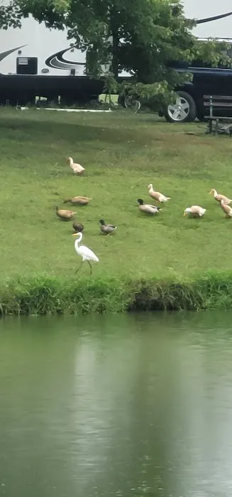 Tomahawk Campground Picture 4