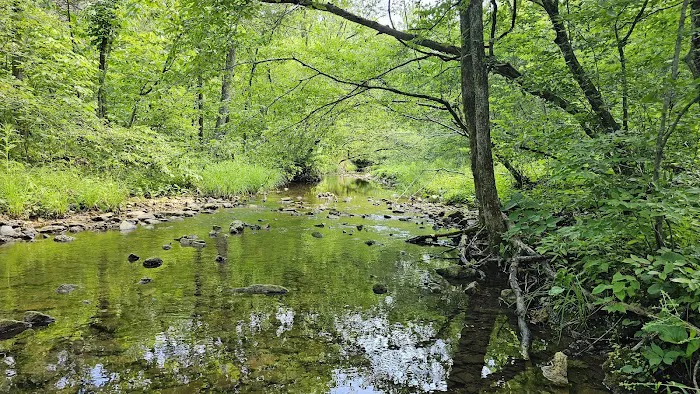 St. Francois State Park Campground Picture 5