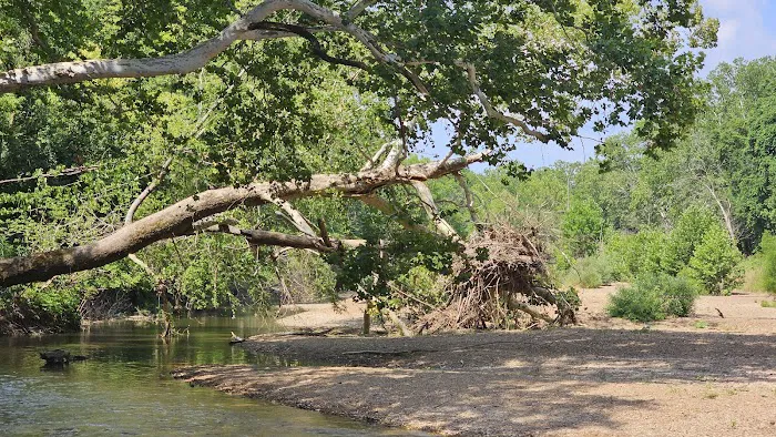 St. Francois State Park Campground Picture 1