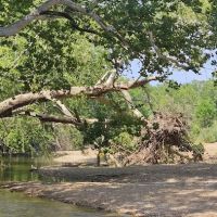 St. Francois State Park Campground ico