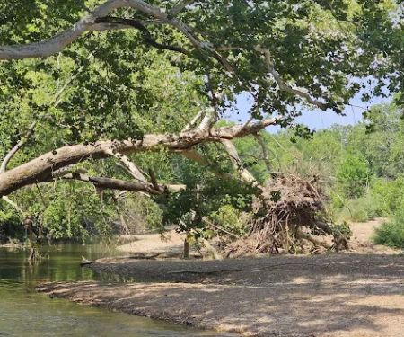 St. Francois State Park Campground