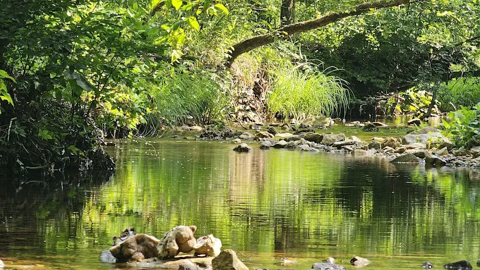 St. Francois State Park Campground Picture 6
