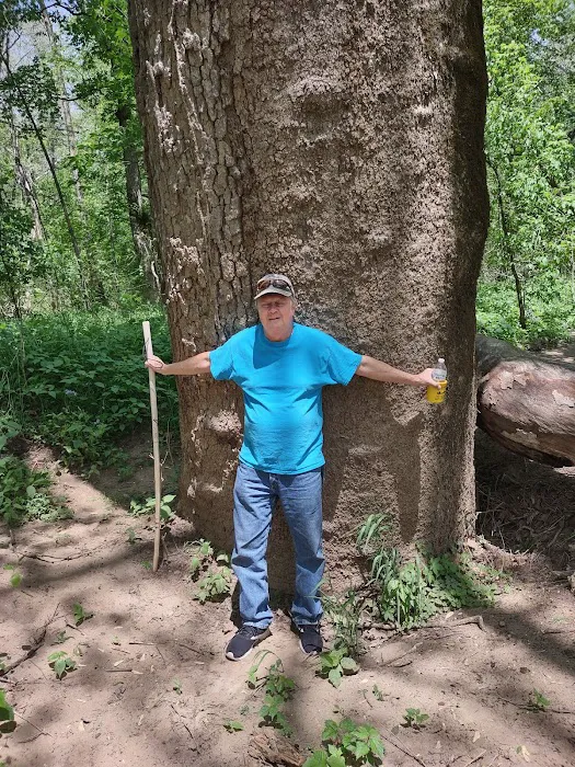 St. Francois State Park Campground Picture 8