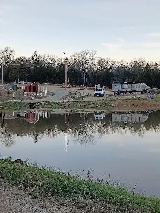Patt's Place, LLC Picture 6