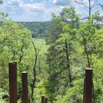 Robinson Bluff Climbing Area