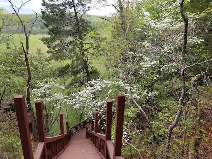 Robinson Bluff Climbing Area Picture 5
