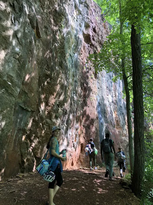 Robinson Bluff Climbing Area Picture 8