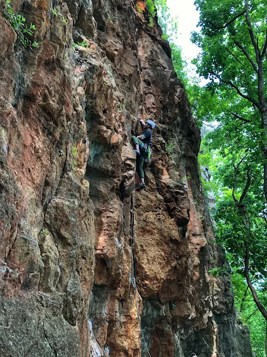 Robinson Bluff Climbing Area Picture 6