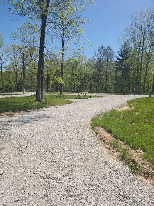 Pine Trails Camp Ground Picture 4