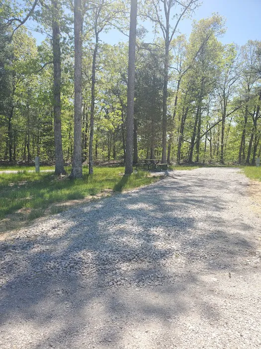 Pine Trails Camp Ground Picture 6