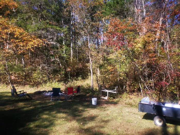 Paynes Branch RV & Campground LLC Picture 12