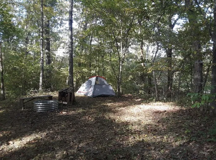 Paynes Branch RV & Campground LLC Picture 10