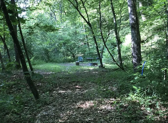 Paynes Branch RV & Campground LLC Picture 17