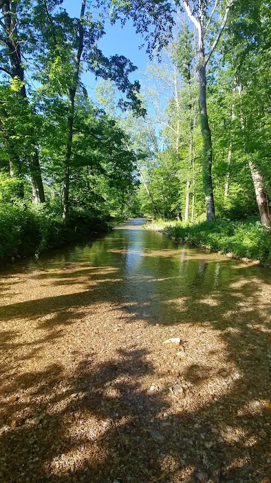 Four Creeks Ranch Campground Picture 6