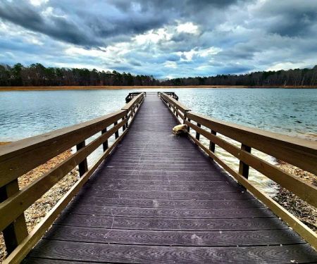 Pinewoods Lake Recreation Area