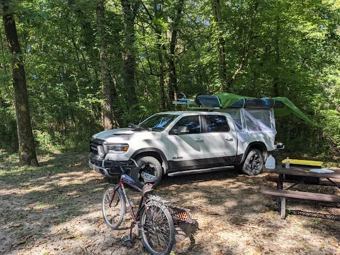 Big Tree Campground Picture 8