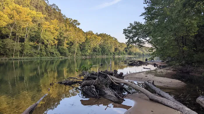 Big Tree Campground Picture 2