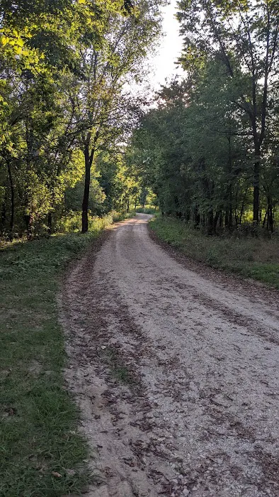 Big Tree Campground Picture 6