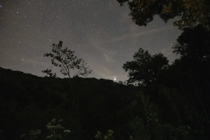 Big Tree Campground Picture 7