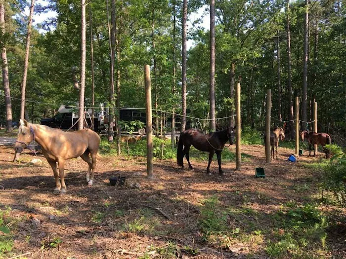 Wrangler Horse Camp Picture 1