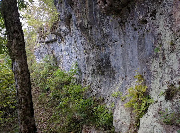 Sutton Bluff Recreation Area Picture 9
