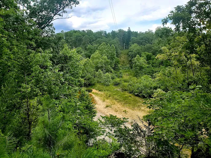 Sutton Bluff Recreation Area Picture 5