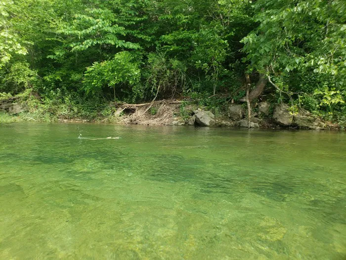 Sutton Bluff Recreation Area Picture 6
