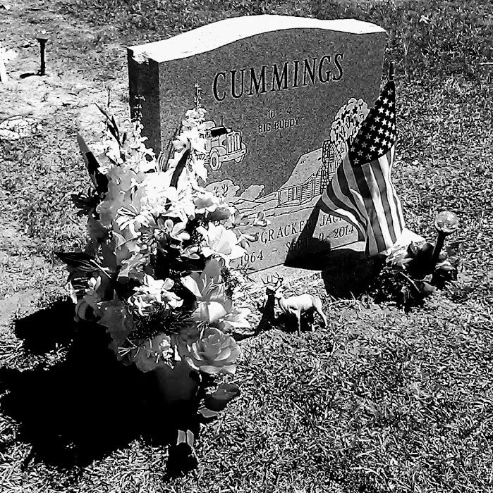 Forestry Department Picture 2