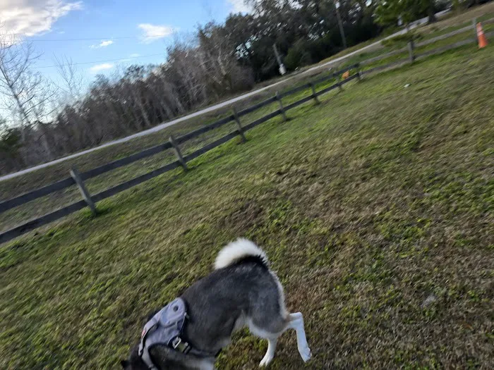 The Gordon’s Picture 4