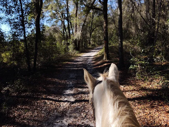 McCulley Farms Picture 8