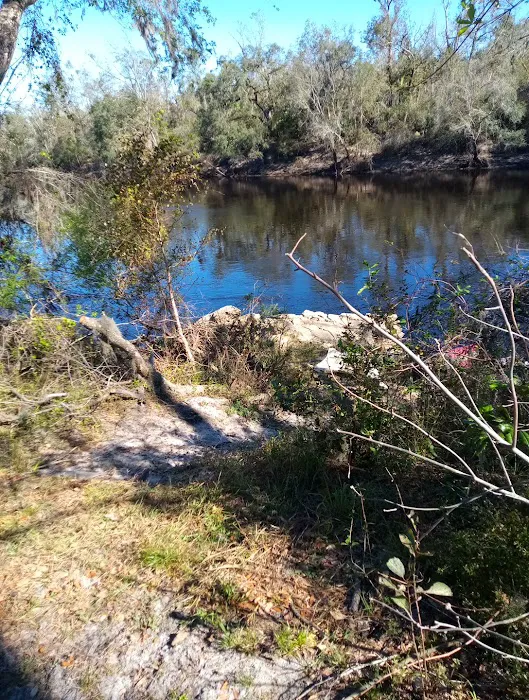 Black Tract Campsite Picture 3