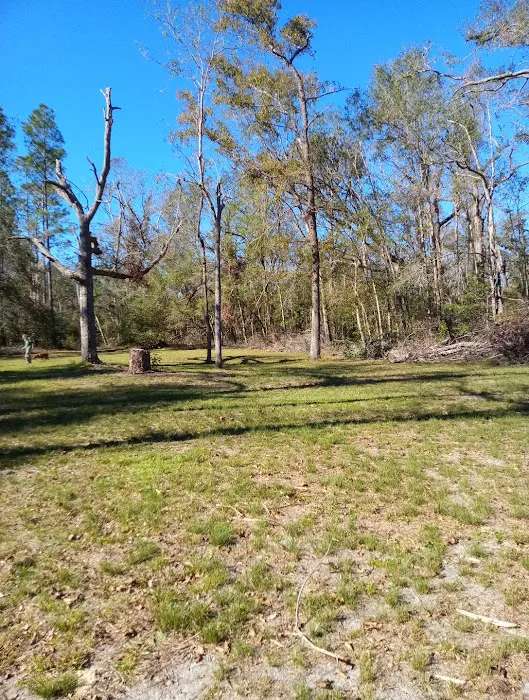 Black Tract Campsite Picture 2