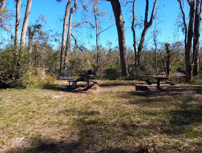 Black Tract Campsite Picture 4