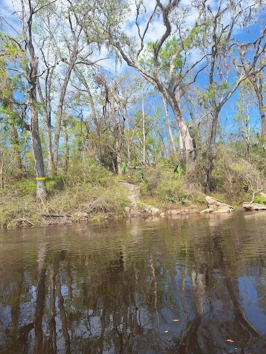 Black Tract Campsite Picture 5