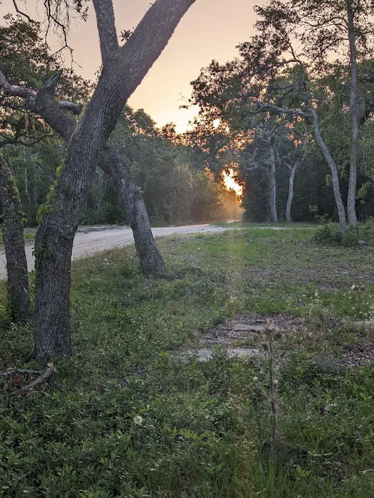 Mill Creek North Campsite Picture 2