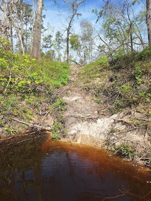 Mill Creek North Campsite Picture 3