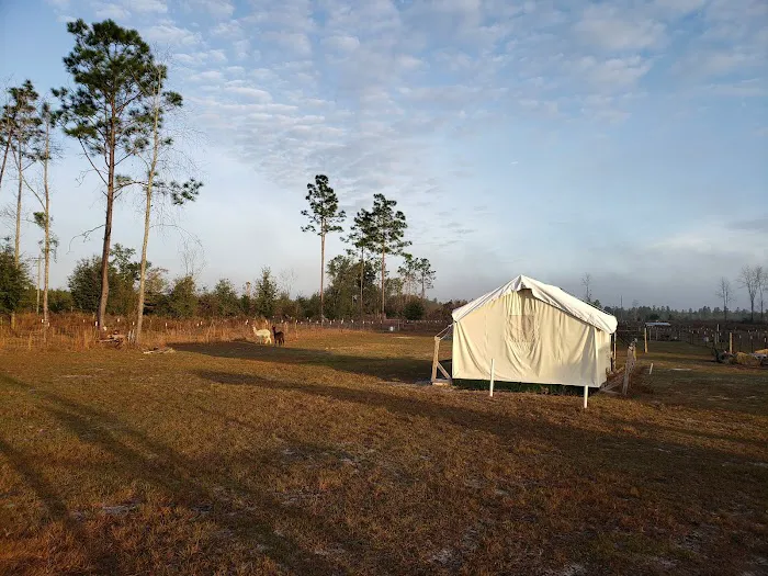 Home Field Advantage Farmstead Picture 1